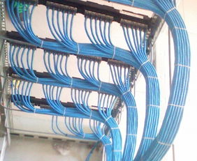 西湖区办公室综合布线指南 弱电、网线、强电与电话线的专业部署方案