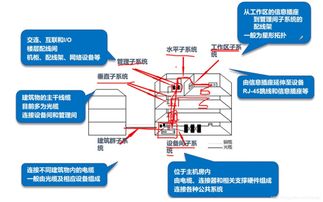 网络布线 构建数字世界的脉络，与动漫设计的奇趣交织